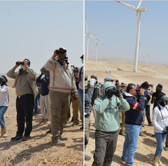 Field training on bird migration monitoring at the Ras Ghareb wind farm.